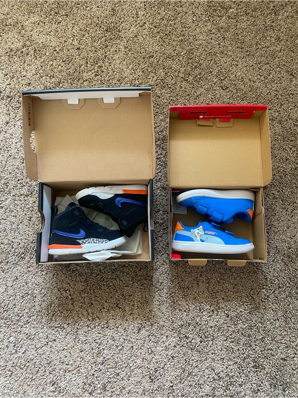 6C Shoes